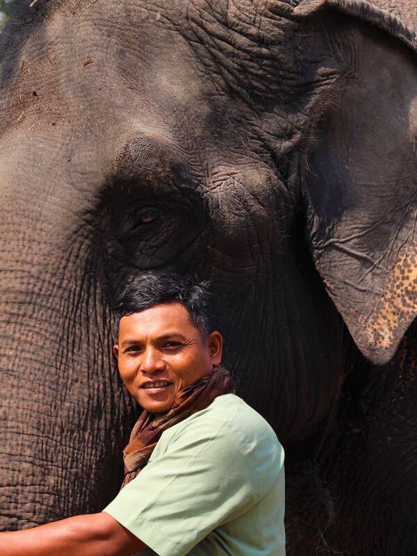 Kulen Elephant Forest | Templation, Siem Reap